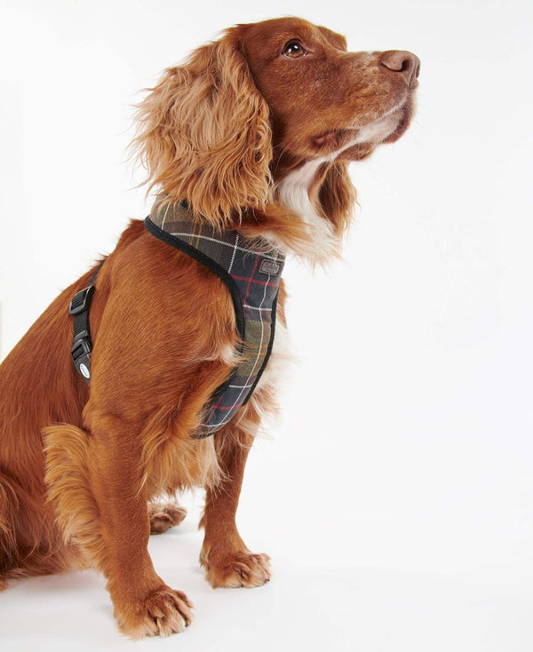 Barbour Hundabeisli - Tartan Dog Harness - Classic Tartan
