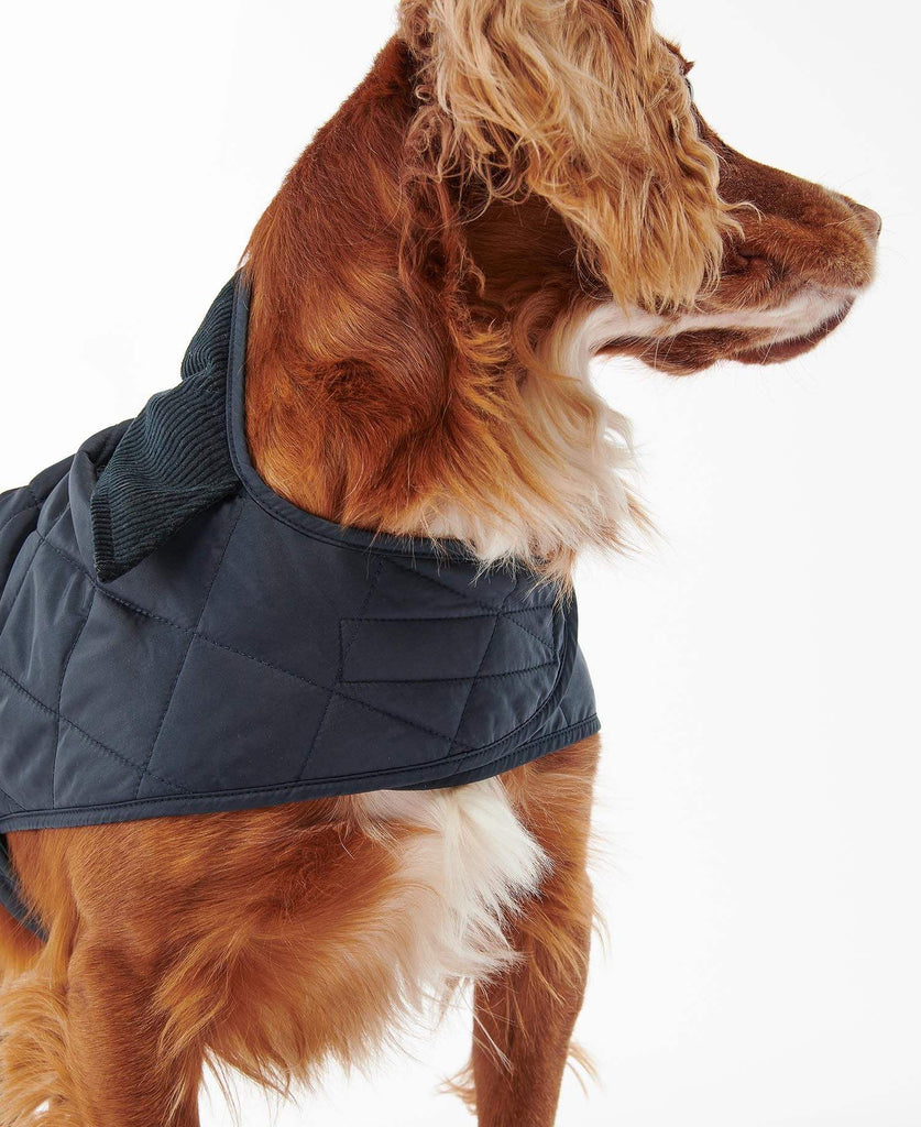 Barbour Hundajakki Quilted Dog Coat Navy Kormakur Skjoldur